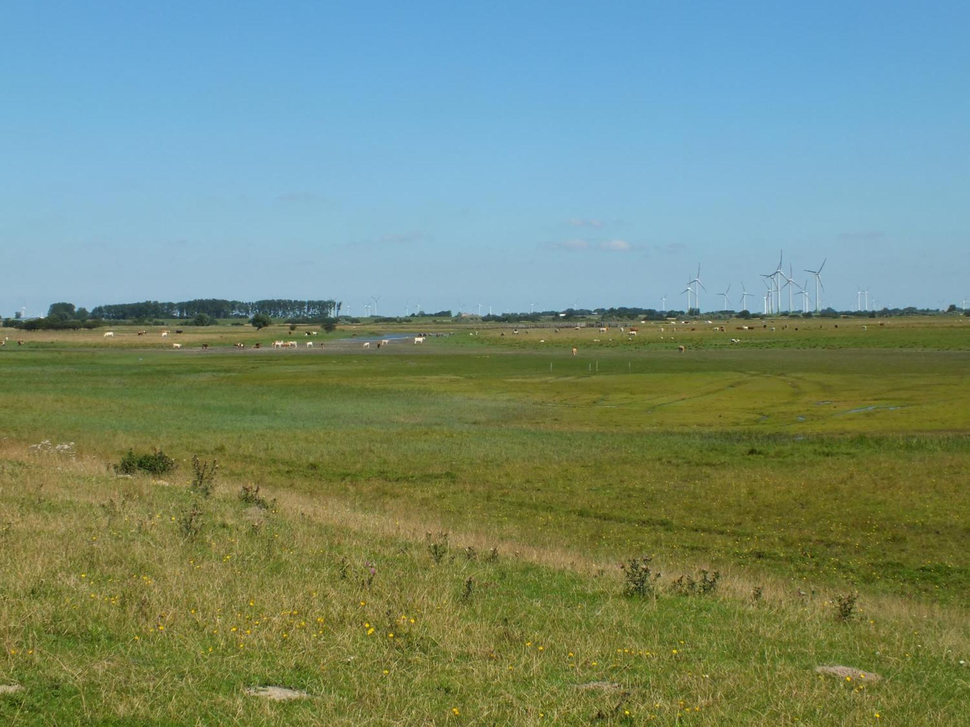 Ferienwohnung In Osterdeichstrich Oesterdeichstrich Luaran gambar