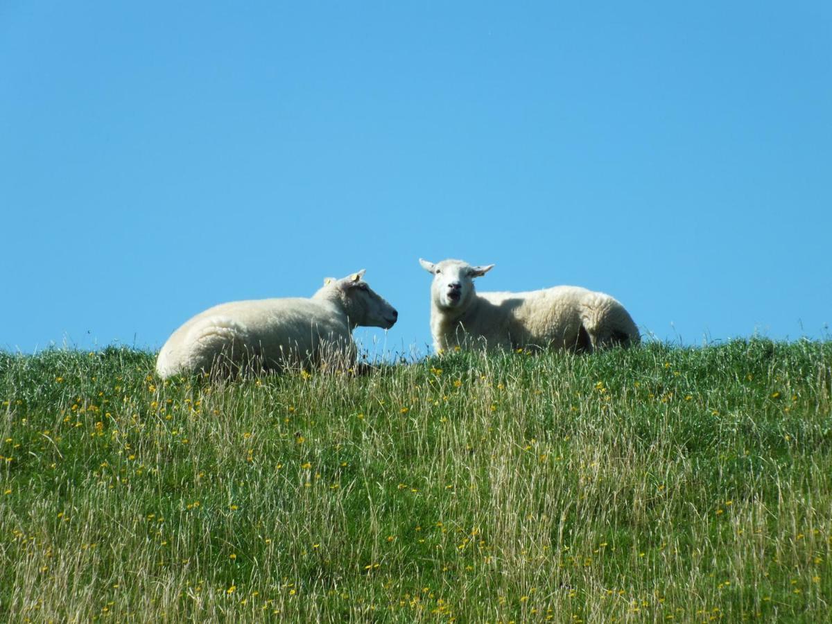 Ferienwohnung In Osterdeichstrich Oesterdeichstrich Luaran gambar